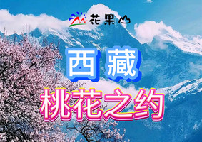 2026年3月22-30日【西藏桃花季】林芝◆嘎拉桃花村◆波密桃花沟◆倾多寺◆羊湖◆巴松措◆雅鲁藏布大峡谷◆雍布拉康