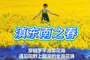 2月26-8日●滇东南之春●罗平油菜花海●牛街螺丝田●金鸡峰丛●元阳梯田●普者黑●坝美●九龙瀑布●东川红土地●元谋十一日
