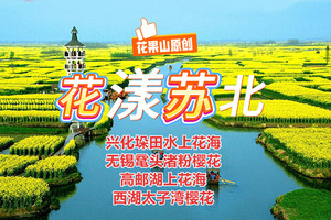 3月22-28日【花漾苏北◆四大赏花胜地】兴化垛田水上花海◆鼋头渚樱花◆西湖太子湾樱花◆高邮湖上花海◆鲁迅故居◆瘦西湖
