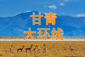 6月13-24日【甘青极境】穿越可可西里◆三江溯源◆冷湖◆黑独山◆敦煌◆张掖◆嘉峪关◆茶卡盐湖◆察尔汗盐湖◆西台吉乃尔湖