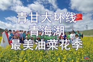  7月12-19日【青甘大环线-青海湖醉美花季】青海湖日出日落◆门源+扁都口◆巴尔斯雪山◆张掖◆茶卡◆敦煌莫高窟