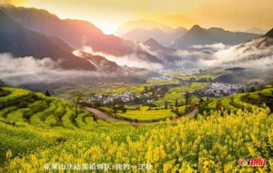 招单人 3月15-22日 婺源油菜花●烟花三月下江南●游黄山●品徽杭●黄山+三清山大小环线深度游●婺源●篁岭●宏村●江岭