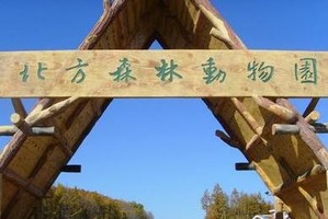 哈尔滨北方森林动物园直通车往返车费35