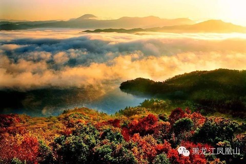 10月1-6日【天天发车】漫步五常凤凰山✿赏空中花园✿览瀑布偃松✿探秘大峡谷红叶✿宾馆双标/独卫✿两日品质游【280元】