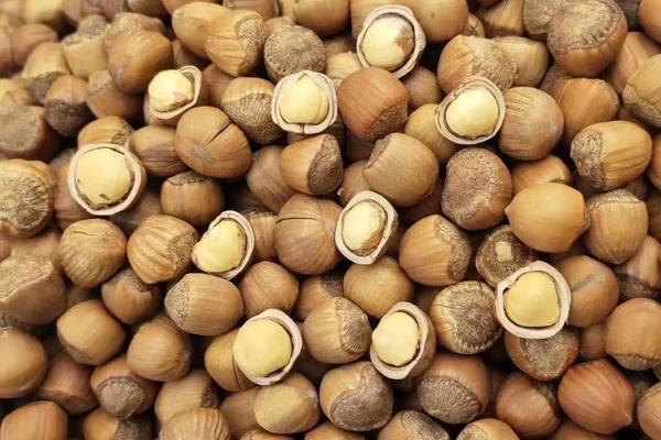 （黄瓤） 新炒开原野生榛子！水漏！一拍即开，1箱5斤135元