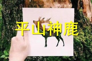 平山神鹿与萌萌鹿宝宝做游戏●听鹿鸣游山●亲子互动快乐行门票+车费特惠价70元