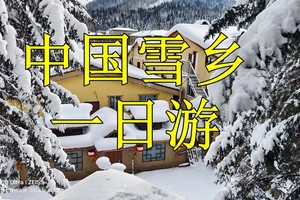 天天发 小包团【雪乡一日游◆亚布力西站起止】雪乡◆冰雪画廊◆雪地摩托◆冰雪欢乐谷◆大秃顶子◆狗熊岭◆牧雪山村