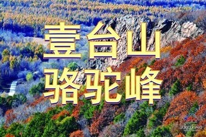 4月5/6日【巴彦壹台山风景区】休闲一日◕冰凌花◕栈道登山◕野鸭湖◕滨水大道◕松花江开江【68元含门票车餐】