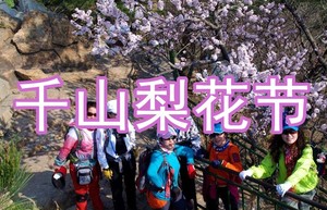 4月17-19日◆梨花节◆唯美千山风景区◆梨花飘香◆鞍山玉佛苑◆辽阳广佑寺-白塔◆二一九公园◆曹雪芹纪念馆◆老院子鱼掌门