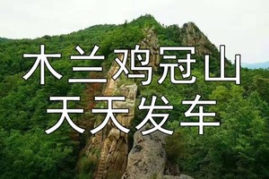 【散拼木兰鸡冠山直通车】国家AAA森林公园挑战悬崖栈道一日游【98元】