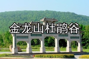 5月3/4日◆真游玩◆金龙山风景区◆青山碧水◆畅游景区内兴安杜鹃谷◆赏达子香◆尽享春光一日游【90元门票+车+餐送保险】