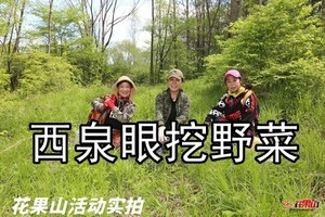5月23日西泉眼水库第一季◆淘摸查山◆采摘小叶芹◆山野菜◆刺五加叶◆赏山花【55元含车费+水晶肘子农家大餐+保险】
