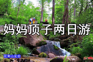 6月20-21日◆清河妈妈顶原始森林公园◆小兴安岭原始森林公园◆天佛山◆月牙湖公园◆两日游【278元】