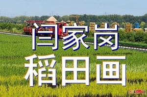 9月25日◆北大荒闫家岗农场◆网红稻田3D画景◆梦幻柳兰谷花海◆太平湖栈道【59元含花海票/餐/车/保险】