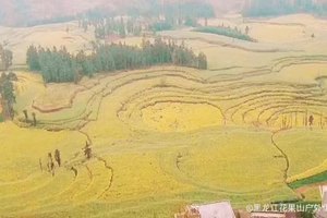 20180312最美滇东南