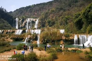 3月10-17日 当季醉美滇东南一路芬芳✪元阳/多依树/老虎嘴/菁口/坝达/普高老寨✪普者黑/坝美