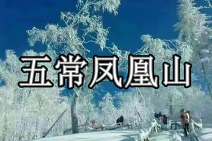12月13-14日◆踏雪东北◆五常凤凰山雪域童话◆空中大雪原景区◆高山花园雪松◆龙江第一民俗村◆白桦林景区◆高标宾馆标间