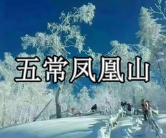 12月27-28（278元）/1月2-3（独立团298）日五常凤凰山空中雪原◆高山花园雪松◆民俗村◆白桦林◆高标宾馆标间
