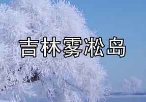 12月13-14/20-21/27-28日◆吉林韩屯雾松岛◆雾凇奇观◆花天雪地◆纯温泉+室内水世界◆乌拉火锅◆篝火晚会