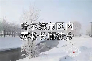 【90期】公益行徒步2月7日公益行探寻哈尔滨市区内的雾凇长廊纵贯何家沟上游段-戏雪玩冰徒步燃脂健康