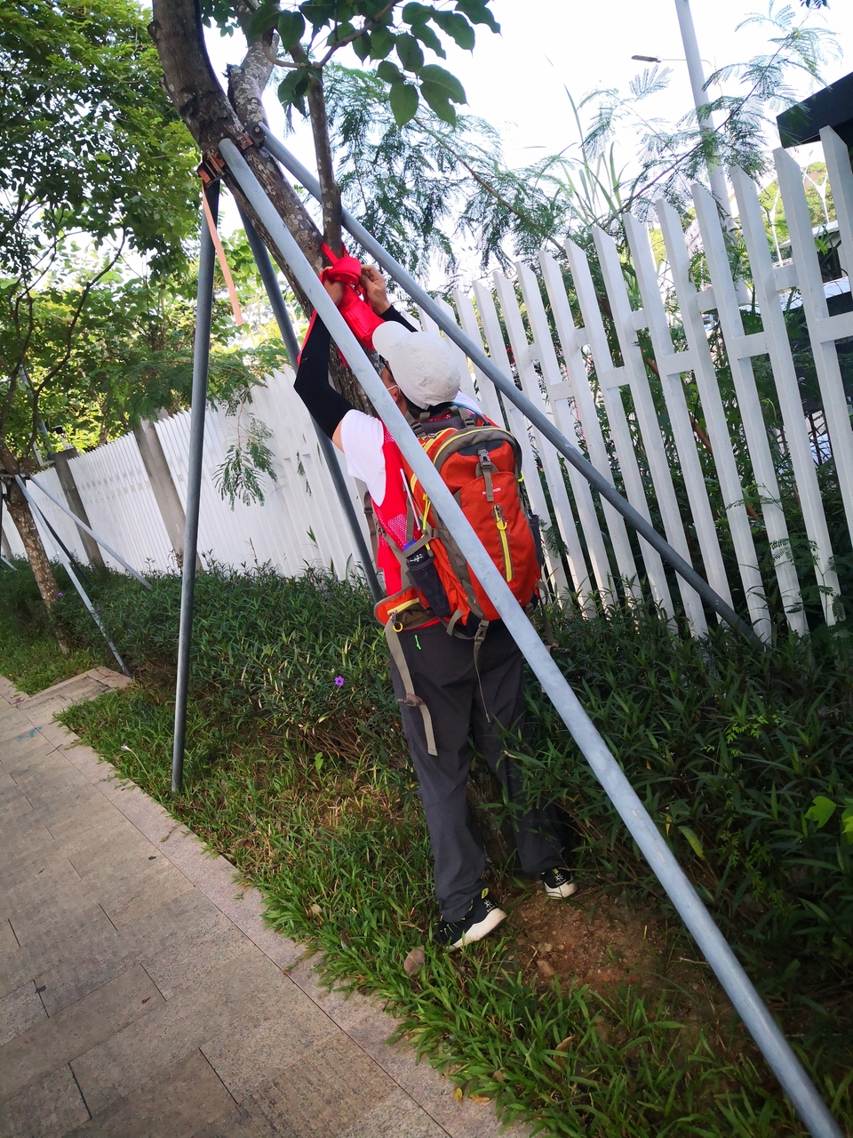 mmexport1603023350926