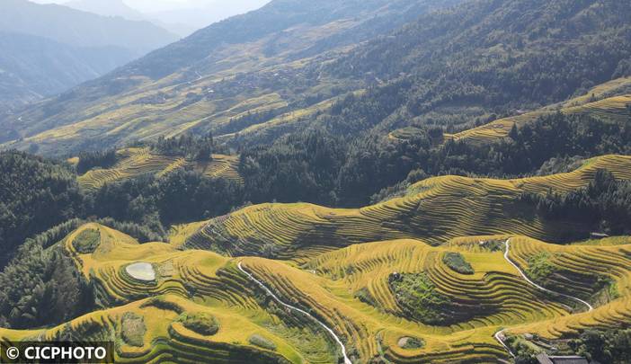 广西龙胜：金秋龙脊美如画
