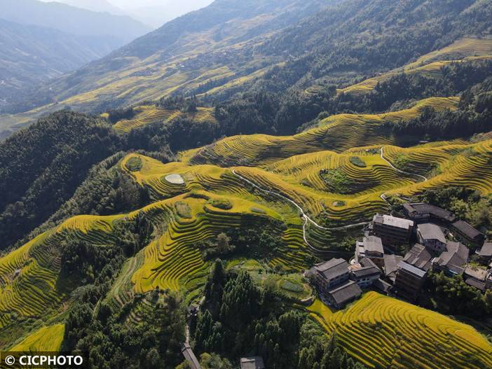 广西龙胜：金秋龙脊美如画