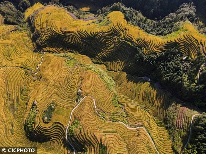 广西龙胜：金秋龙脊美如画