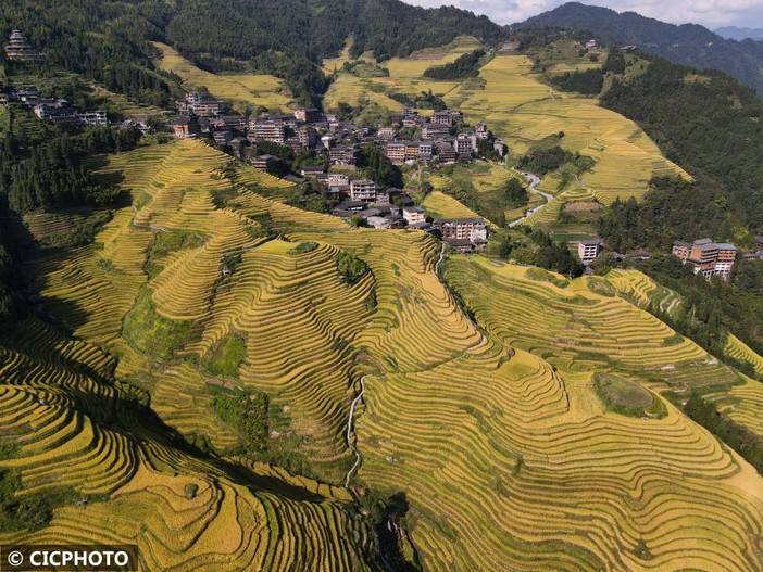 广西龙胜：金秋龙脊美如画