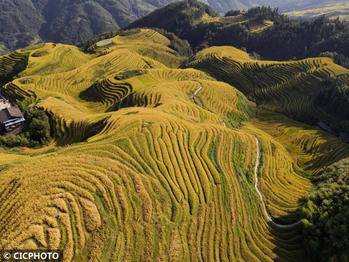 广西龙胜：金秋龙脊美如画