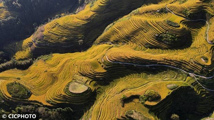 广西龙胜：金秋龙脊美如画