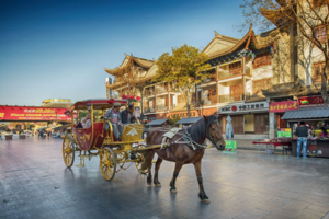 国内冬令营|云南·知书达理，亲子家庭 昆明-大理-丽江亲子7日游（4-8人微定制）