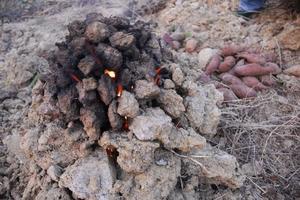 【亲子活动】农乐园磨豆浆 打米饼 窑红薯 创意小盆栽 扭秧歌 拯救蛋宝宝一日游