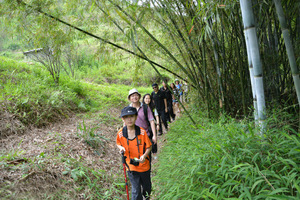【徒步活动】8.19龙门香溪河20公里徒步穿越竹林，访古村，探古树