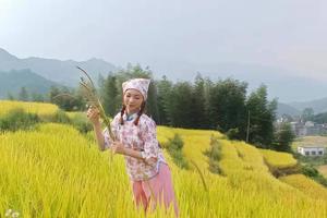 【新线路】打卡清远网红拍照地峰林胜境浪漫粉黛乱子草花海+广东最美黑山梯田赏金黄稻谷+瑶族篝火长桌宴二日游