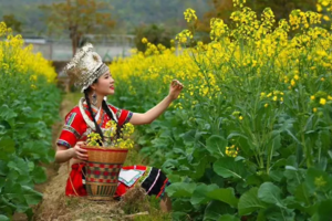 【周边游】大鹏古城、美丽乡村赏花、摘草莓、农庄野炊、杨梅坑、地质公园一日游