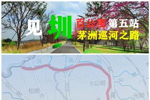 见圳40年百公里系列徒步第五站：茅洲巡河之路20公里