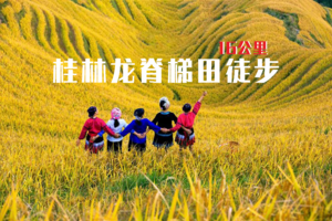 龙脊梯田徒步16公里，穿越金色稻谷海洋、体验少数民族风情，赴一场秋天的约会(10.16-17\10.23-24)