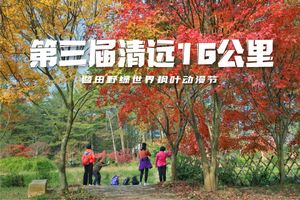 【大型活动】12.12第三届清远16公里暨田野绿世界枫叶动漫节