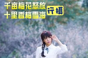 【惠州1日游】御景峰梅花怒放、徒步行摄十里香梅雪海、品青梅酒农家菜、休闲摄影 一日游