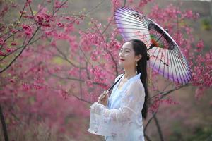 【大型活动】1月16日华南第二届樱花徒步节，去新丰共赴一场樱花盛宴