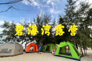 【周末游】碧海湾露营，森林露营地，都市青年荧光趴，帆船、三角洲岛、冰雪世界、赶海二天游