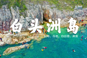 8月11、14日白头洲荒岛浮潜赏珊瑚 -赶海 抓螃蟹抓鱼-享尽海鲜大餐一天活动