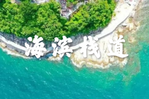 『周末游』打卡亚洲最长海滨栈道、徒步深圳最美海岸公路、赏迷人海滨风光一日游