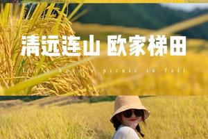 10月15-16连山欧家梯田赏金黄稻田，徒步喀斯特地貌万山朝旗山顶二天活动