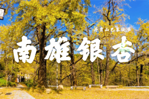 380元特价|粤北秘境丹霞徒步巴寨南雄银杏帽子峰金秋扫黄二日游