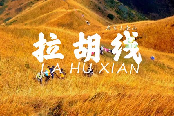 【登山徒步】拉胡线穿越、赏醉美芦苇、落日夕阳、体验惠东大南山广东大草原一天