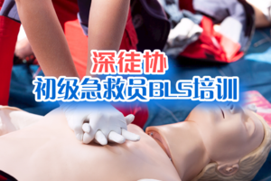 12.3【第二期】深徒协急救公益培训|初级急救员基础生命支持（BLS）课程