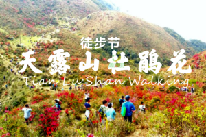 【大型活动】4.1深莞出发2023首届天露山杜鹃花徒步节15公里