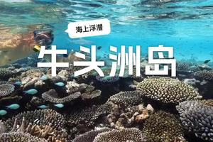 7.23荒岛牛头洲浮潜赶海，渔猎海鲜，自由潜一天游